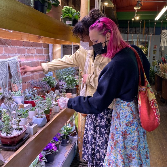 Meet your Posher, Sam - Picture 1 of 1